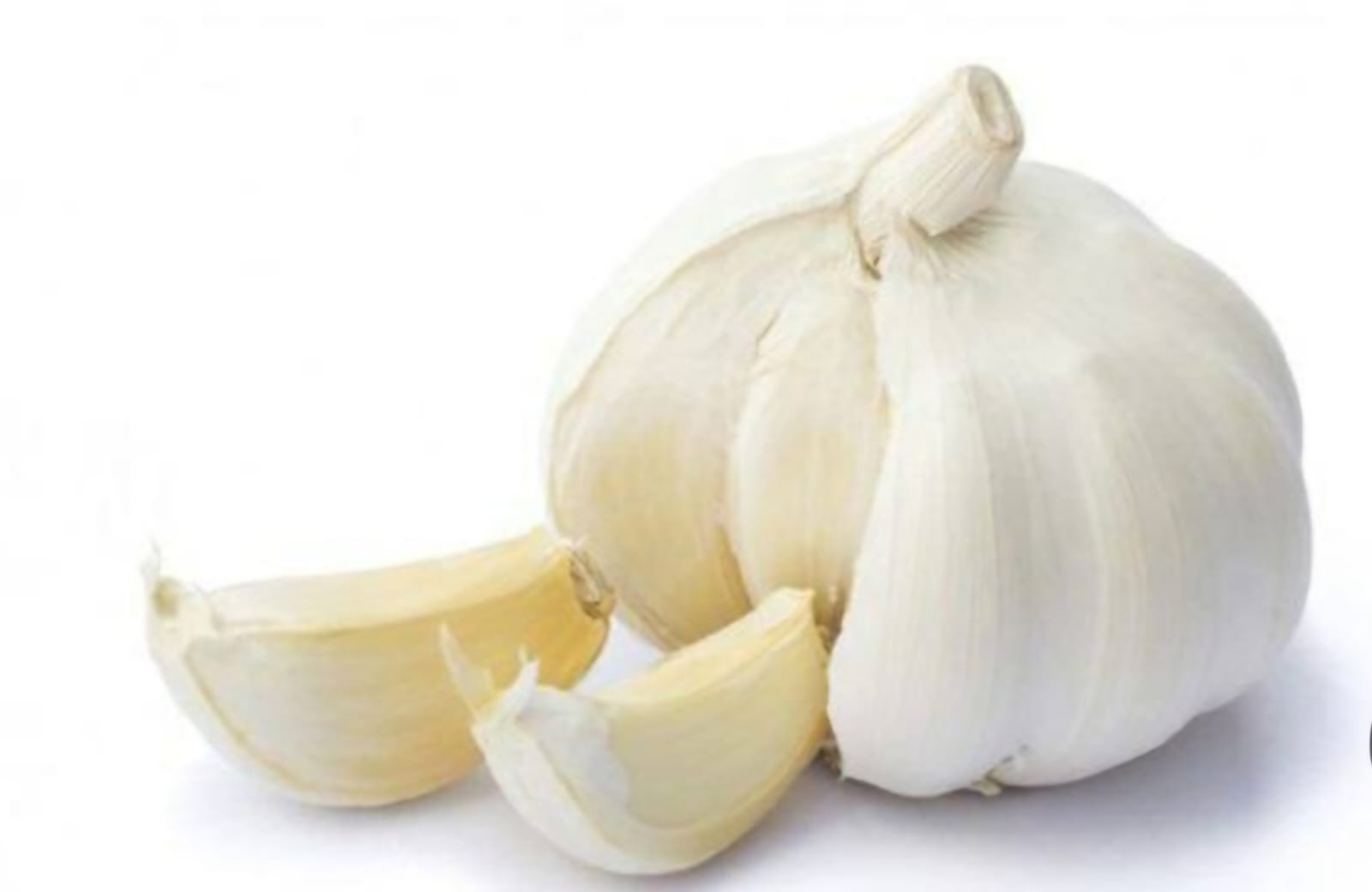 garlic